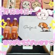 ヒメ日記 2025/11/25 12:30 投稿 ななせ【伝説人気姫奇跡の復帰】 Beppin house