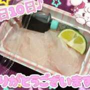 ヒメ日記 2025/12/11 01:00 投稿 ななせ【伝説人気姫奇跡の復帰】 Beppin house