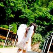 ヒメ日記 2025/12/14 15:20 投稿 ななせ【伝説人気姫奇跡の復帰】 Beppin house