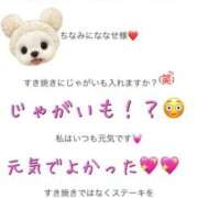 ヒメ日記 2025/12/19 07:40 投稿 ななせ【伝説人気姫奇跡の復帰】 Beppin house