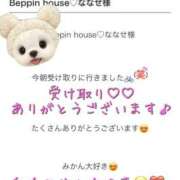 ヒメ日記 2025/12/23 15:26 投稿 ななせ【伝説人気姫奇跡の復帰】 Beppin house