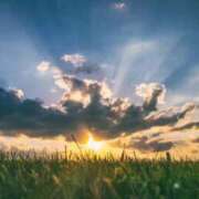 ヒメ日記 2026/01/08 15:00 投稿 ななせ【伝説人気姫奇跡の復帰】 Beppin house