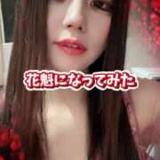 ヒメ日記 2026/01/22 21:06 投稿 ななせ【伝説人気姫奇跡の復帰】 Beppin house