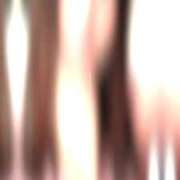 ヒメ日記 2026/01/23 21:00 投稿 ななせ【伝説人気姫奇跡の復帰】 Beppin house