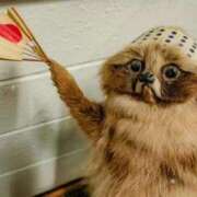 ヒメ日記 2026/01/28 15:10 投稿 ななせ【伝説人気姫奇跡の復帰】 Beppin house