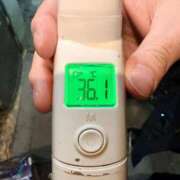 ヒメ日記 2026/02/17 11:26 投稿 ななせ【伝説人気姫奇跡の復帰】 Beppin house