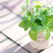 ヒメ日記 2026/03/10 15:08 投稿 ななせ【伝説人気姫奇跡の復帰】 Beppin house