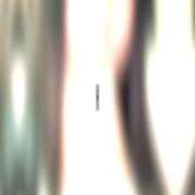 ヒメ日記 2026/03/20 16:10 投稿 ななせ【伝説人気姫奇跡の復帰】 Beppin house