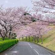 ヒメ日記 2026/03/27 15:10 投稿 ななせ【伝説人気姫奇跡の復帰】 Beppin house