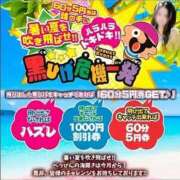 ヒメ日記 2026/08/30 12:20 投稿 ななせ【伝説人気姫奇跡の復帰】 Beppin house