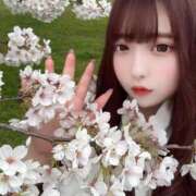 ヒメ日記 2025/03/26 13:32 投稿 たしぎ 池袋サンキュー