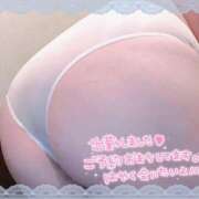 ヒメ日記 2025/04/03 12:52 投稿 たしぎ 池袋サンキュー