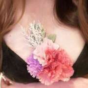 ヒメ日記 2025/07/25 20:42 投稿 たしぎ 池袋サンキュー