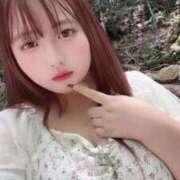 ヒメ日記 2026/04/09 08:11 投稿 たしぎ 池袋サンキュー