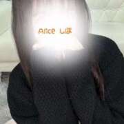 ヒメ日記 2025/12/23 08:15 投稿 しほ 究極の素人専門店Alice-アリス-