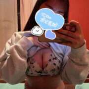 ヒメ日記 2025/11/28 12:11 投稿 らん ダック京都