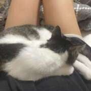 ヒメ日記 2025/03/22 11:11 投稿 あいり Number Five 品川（シンデレラグループ）