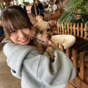 あいり 1年ぶり！ Number Five 品川（シンデレラグループ）