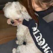 あいり おはようございます?? Number Five 品川（シンデレラグループ）