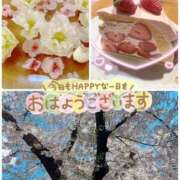 ヒメ日記 2026/04/04 10:10 投稿 わこ 熟女の風俗最終章 蒲田店