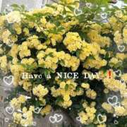 わこ good morning  🌸 熟女の風俗最終章 蒲田店