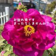 わこ 今月ラストの出勤なります 熟女の風俗最終章 蒲田店