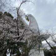 ヒメ日記 2026/04/17 21:30 投稿 凛花(りんか) 難波泡洗体ハイブリッドエステ