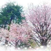 ヒメ日記 2025/04/01 17:54 投稿 堀田まゆ エマーブル