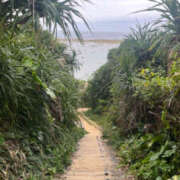 ヒメ日記 2026/03/25 22:51 投稿 かんな ちるりんぱ