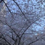 ヒメ日記 2026/04/01 23:07 投稿 かんな ちるりんぱ