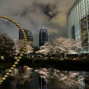 ヒメ日記 2025/04/12 09:00 投稿 りさ 五反田みるみる(ユメオト)