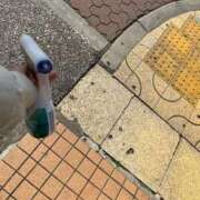 ヒメ日記 2025/03/23 09:36 投稿 えり エディーズ