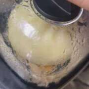 ヒメ日記 2025/04/20 18:26 投稿 えり エディーズ