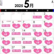 ヒメ日記 2025/04/25 12:26 投稿 えり エディーズ