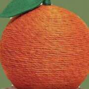 ヒメ日記 2025/06/03 08:16 投稿 えり エディーズ