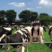 ヒメ日記 2025/08/01 16:16 投稿 えり エディーズ