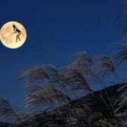 ヒメ日記 2025/12/29 21:19 投稿 えり エディーズ