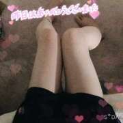 ヒメ日記 2025/03/17 06:00 投稿 ももえ 横浜人妻花壇本店