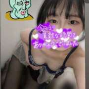 ヒメ日記 2026/06/13 06:59 投稿 ももえ 横浜人妻花壇本店