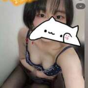 ヒメ日記 2026/06/28 10:17 投稿 ももえ 横浜人妻花壇本店