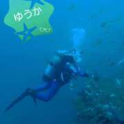 ヒメ日記 2025/12/22 11:05 投稿 ゆうか 性腺熟女100％本店（デリヘル市場）