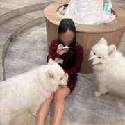 ヒメ日記 2026/01/27 11:37 投稿 ねね 素人系イメージSOAP彼女感大宮館