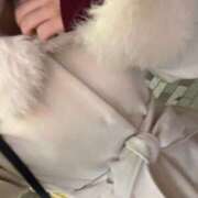 ヒメ日記 2026/03/02 23:49 投稿 ねね 素人系イメージSOAP彼女感大宮館