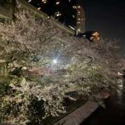 ヒメ日記 2026/04/06 15:01 投稿 ねね 素人系イメージSOAP彼女感大宮館