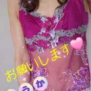 ヒメ日記 2025/08/17 09:30 投稿 ゆうか 性腺熟女100％鶯谷（デリヘル市場）