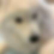 ヒメ日記 2026/01/09 23:59 投稿 つばき VIVIDCREWマダムセカンドバージン 梅田店