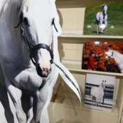 ヒメ日記 2025/09/24 08:55 投稿 あかね〔VIP〕対応 aQua～アクア～（金津園）