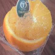 ヒメ日記 2025/04/16 10:00 投稿 りさ 東京人妻セレブリティ（ユメオト）