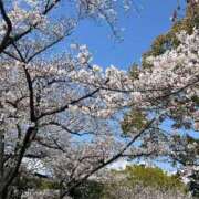 ヒメ日記 2025/04/06 14:03 投稿 結花(ゆか) PLUS梅田店