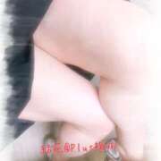 ヒメ日記 2025/05/02 13:19 投稿 結花(ゆか) PLUS梅田店